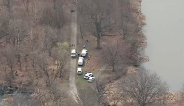 Body of woman found in water near near FDR Park, police say – NBC10 Philadelphia