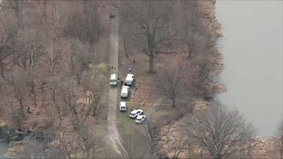 Body of woman found in water near near FDR Park, police say – NBC10 Philadelphia