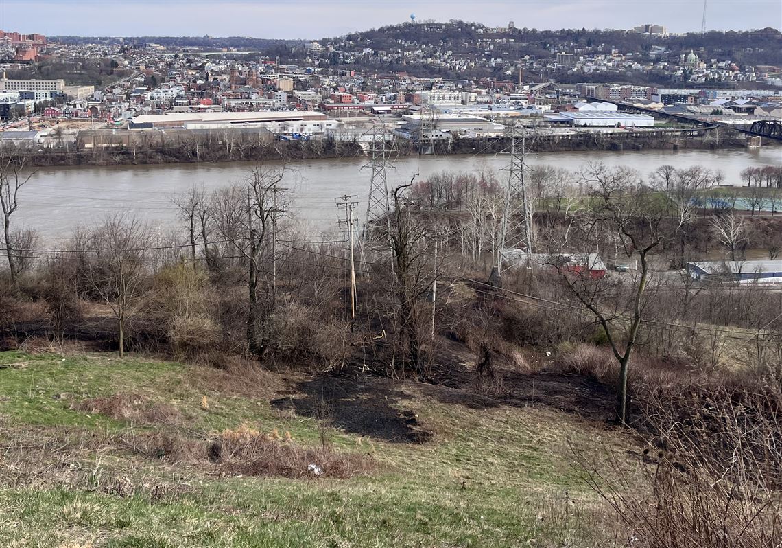 Pittsburgh weather: Wind advisory in effect after power line causes brush fire in Reserve