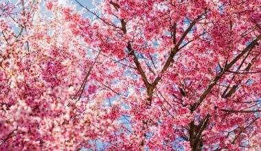 95.7 BEN FM Philadelphia