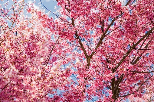 95.7 BEN FM Philadelphia