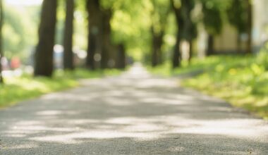 Historic Germantown Unveils Free Walking Tours