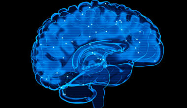 Neurons Electrical Pulses