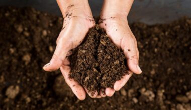 Philadelphia Composting Network Expands to Nearly 30 Sites