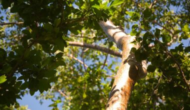 Berks County Conservation To Host Free Event