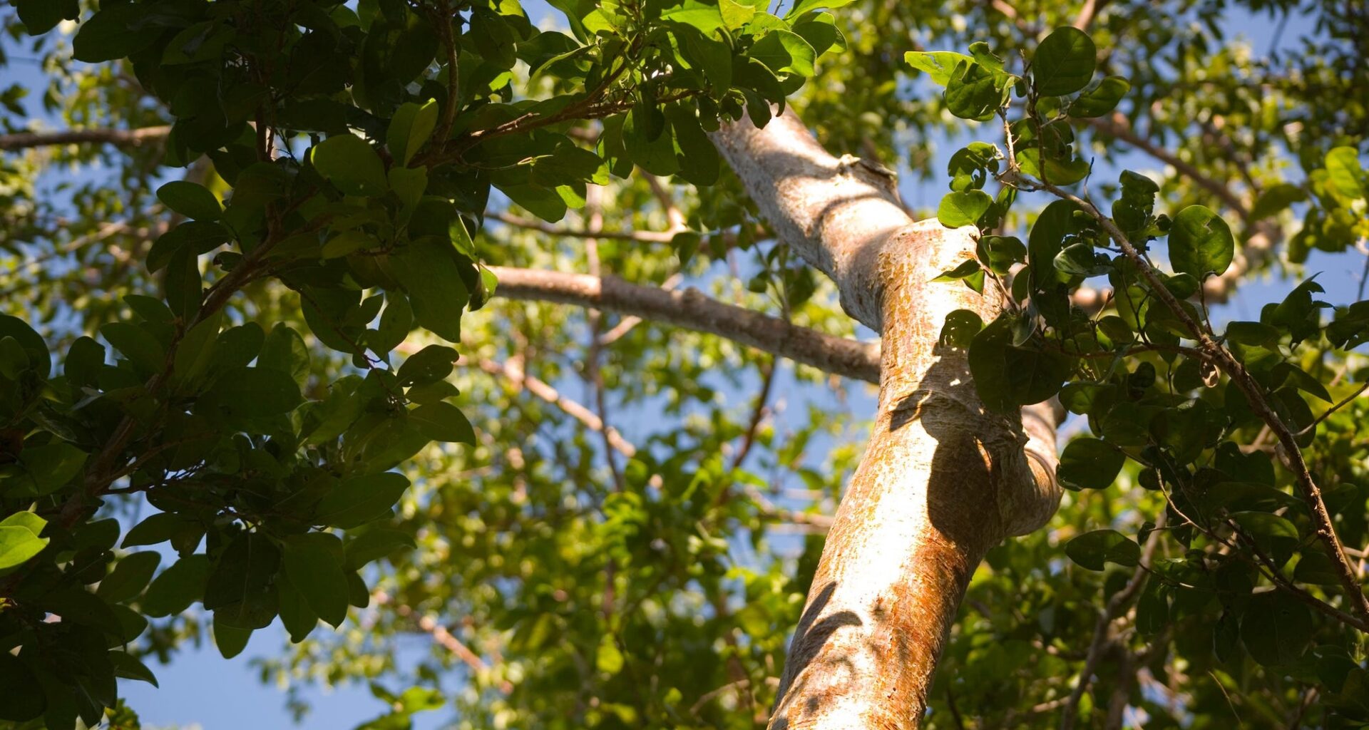 Berks County Historical Site Celebrates 345th Birthday of PA