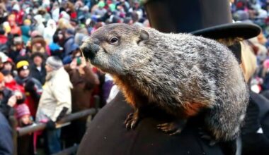 History of Groundhog Day | Punxsutawney, Pennsylvania Guide
