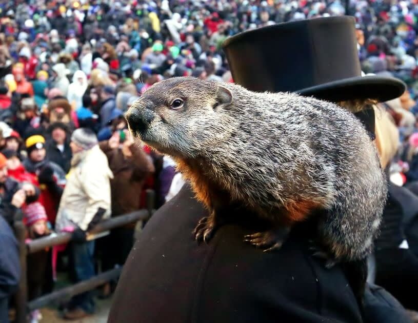 History of Groundhog Day | Punxsutawney, Pennsylvania Guide