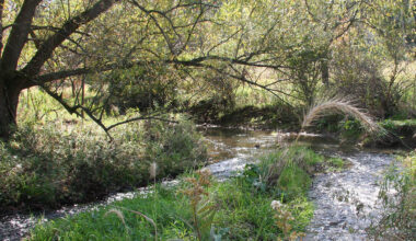 Roadmap to Renewal for Pennsylvania Waters • Chesapeake Bay Foundation