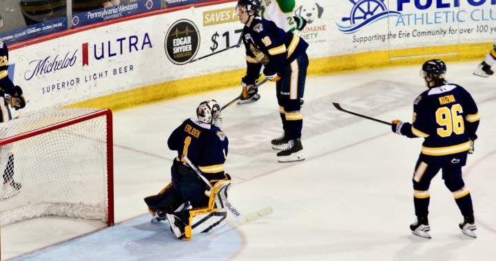 London Knights close gap to one point behind Soo Greyhounds with win in Erie - London