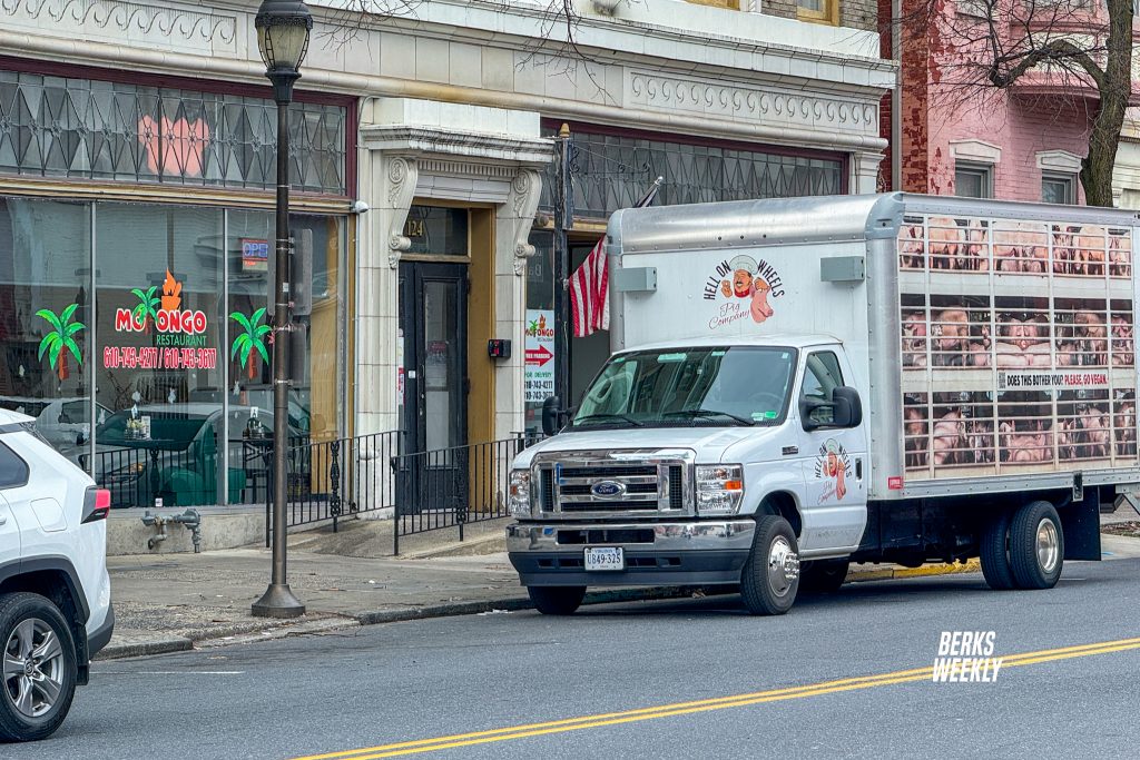 PETA “Hell on Wheels” pig truck stops in downtown Reading
