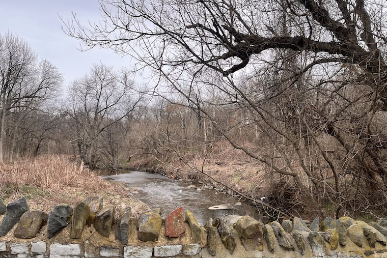 The city's second oldest bridge, joining the unnamed new park at Friends Hospital that connects to the city-owned Tacony Creek Park.