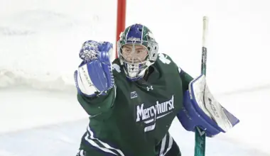 Mercyhurst drops its struggling Division I men's hockey program as part of its master plan
