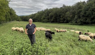 USDA restores $59M contract with Pennsylvania farm group 