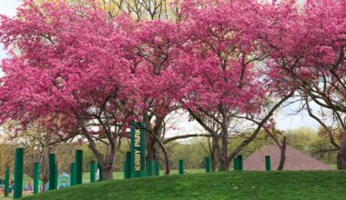 Where to Experience Cherry Blossoms in Pennsylvania