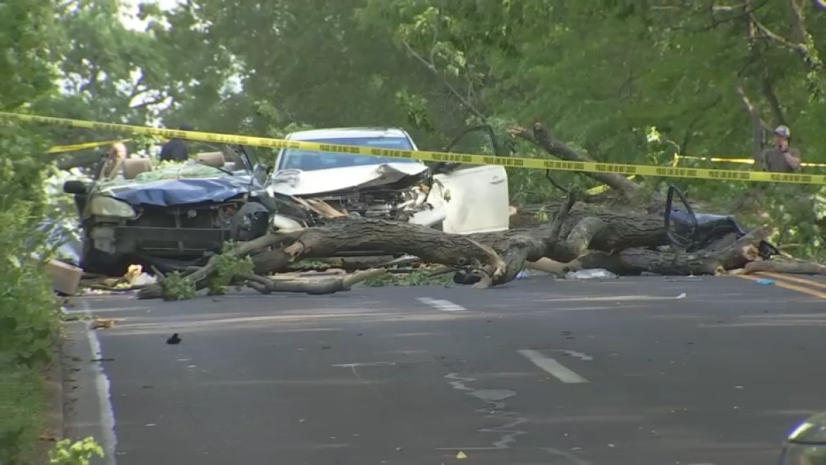 Woman dies after tree falls on car in Lower Merion, police say – NBC10 Philadelphia