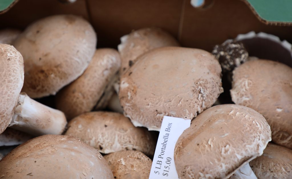 Pennsylvania expands quarantine to all Chesco mushroom farms to combat phorid fly