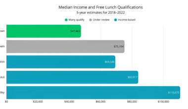 Democratic Socialists of America amass nearly 400 signatures on petition calling for universal free lunch in Bethlehem Area School District