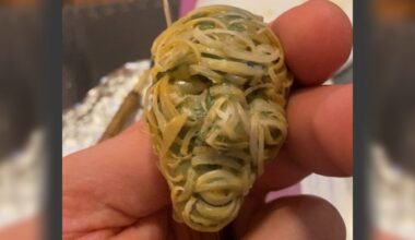 Philly-based artist wants your toenails to make a replica FIFA World Cup trophy