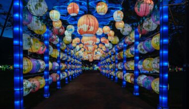 Franklin Square will glow again when the Chinese Lantern Festival returns this summer