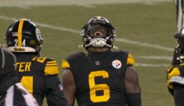 'Hard To Play That Way:' Patrick Queen Details Difference That Makes Pittsburgh's Scheme So Tough