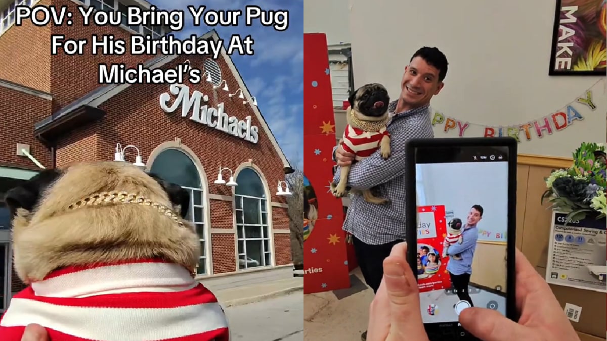 Pennsylvania Man Throws a Birthday Party at Michaels For His Adorable Pug, ‘I’m LOCKED in’