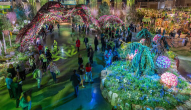 Firmly planted: The 2026 PHS Philadelphia Flower Show