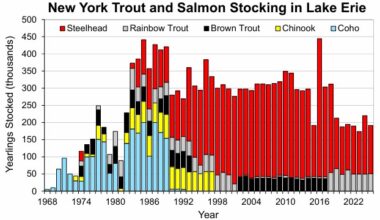 Cold water, hot fishery: DEC has steelhead plan | News, Sports, Jobs