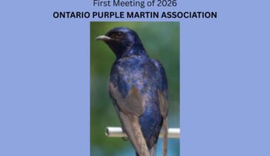 First Meeting Of 2026 – Ontario Purple Martin Association – March 21