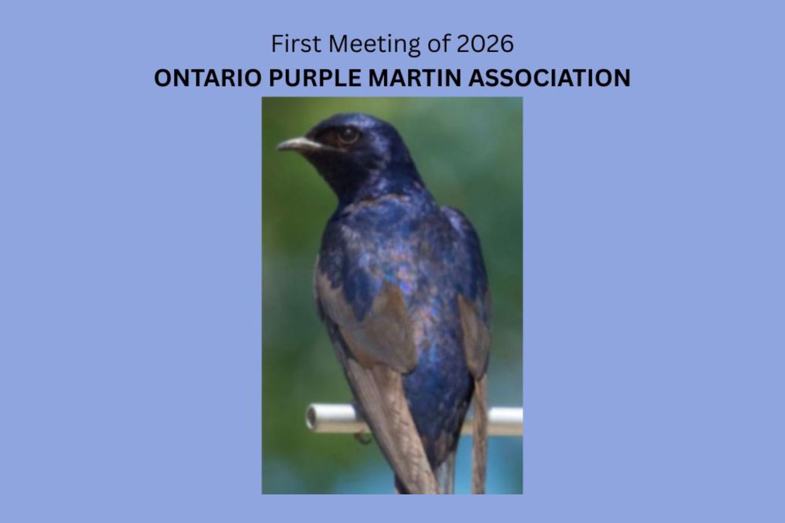 First Meeting Of 2026 – Ontario Purple Martin Association – March 21
