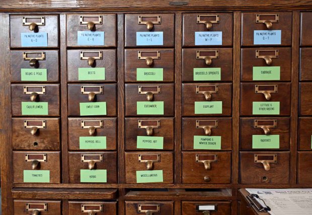 An old card catalog has been repurposed for the Seed Library at the Reading Public Library. (BILL UHRICH/READING EAGLE)