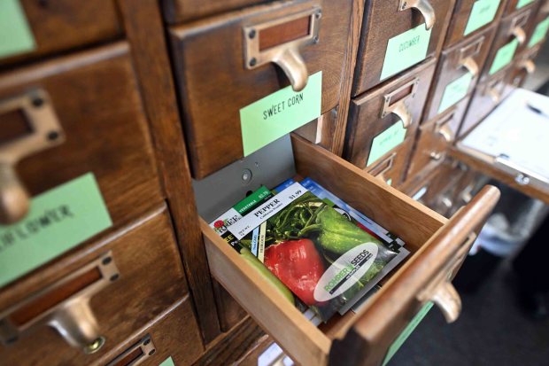 The Seed Library at the Reading Public is stocked by master gardeners who have saved their seeds and donated them, plus others are donated by area businesses. (BILL UHRICH/READING EAGLE)