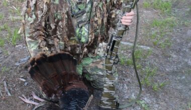 TSS loads allow spring gobbler hunters to reach out and touch birds long distance – Pottsville Republican Herald