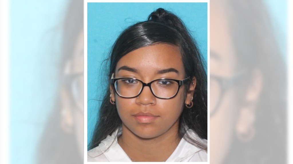 Scranton police search for missing woman, child – Scranton Times-Tribune