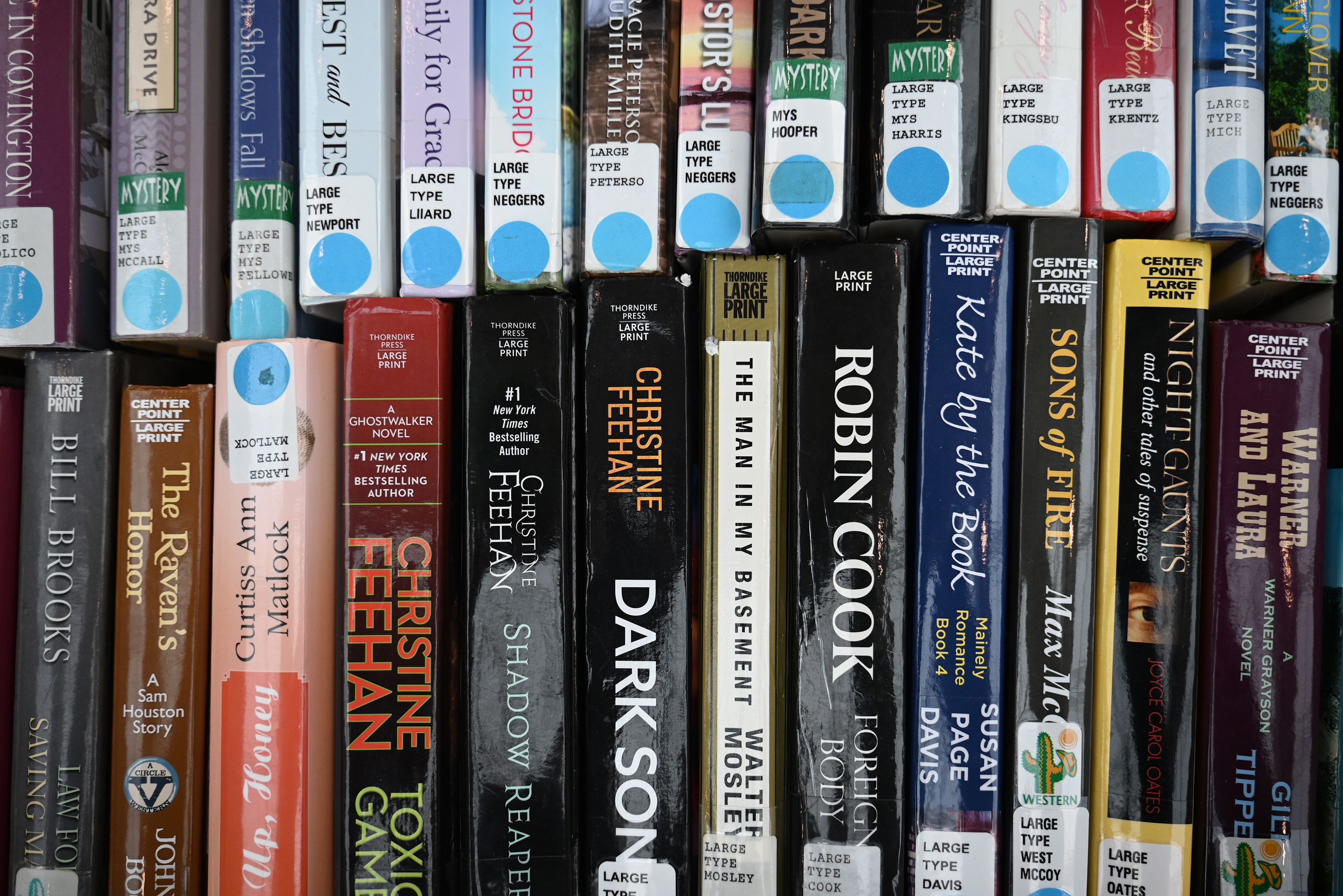 Large print titles for sale at the Friends of the...