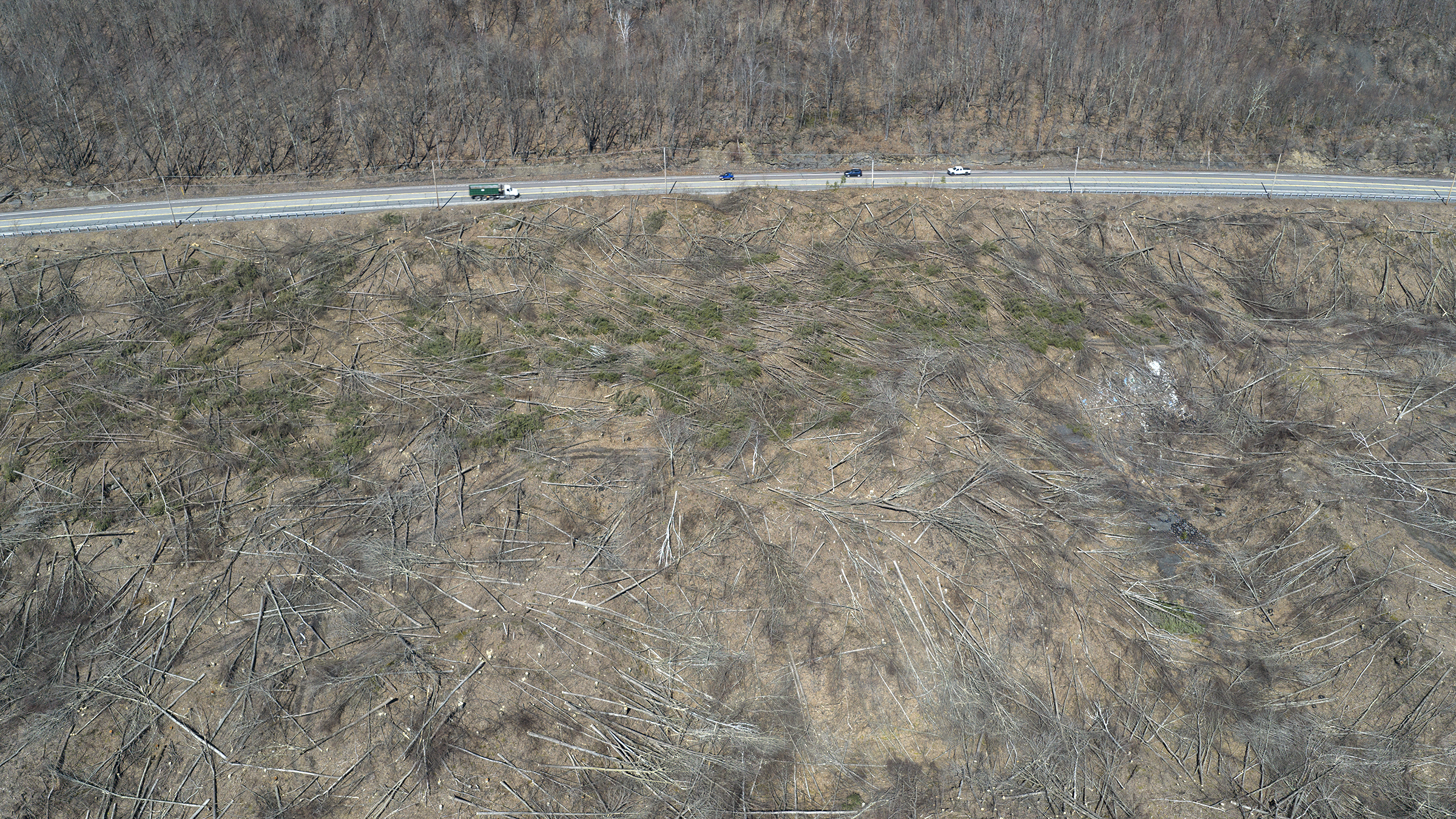 Vehicles pass a clearing of trees along Business Route 6...