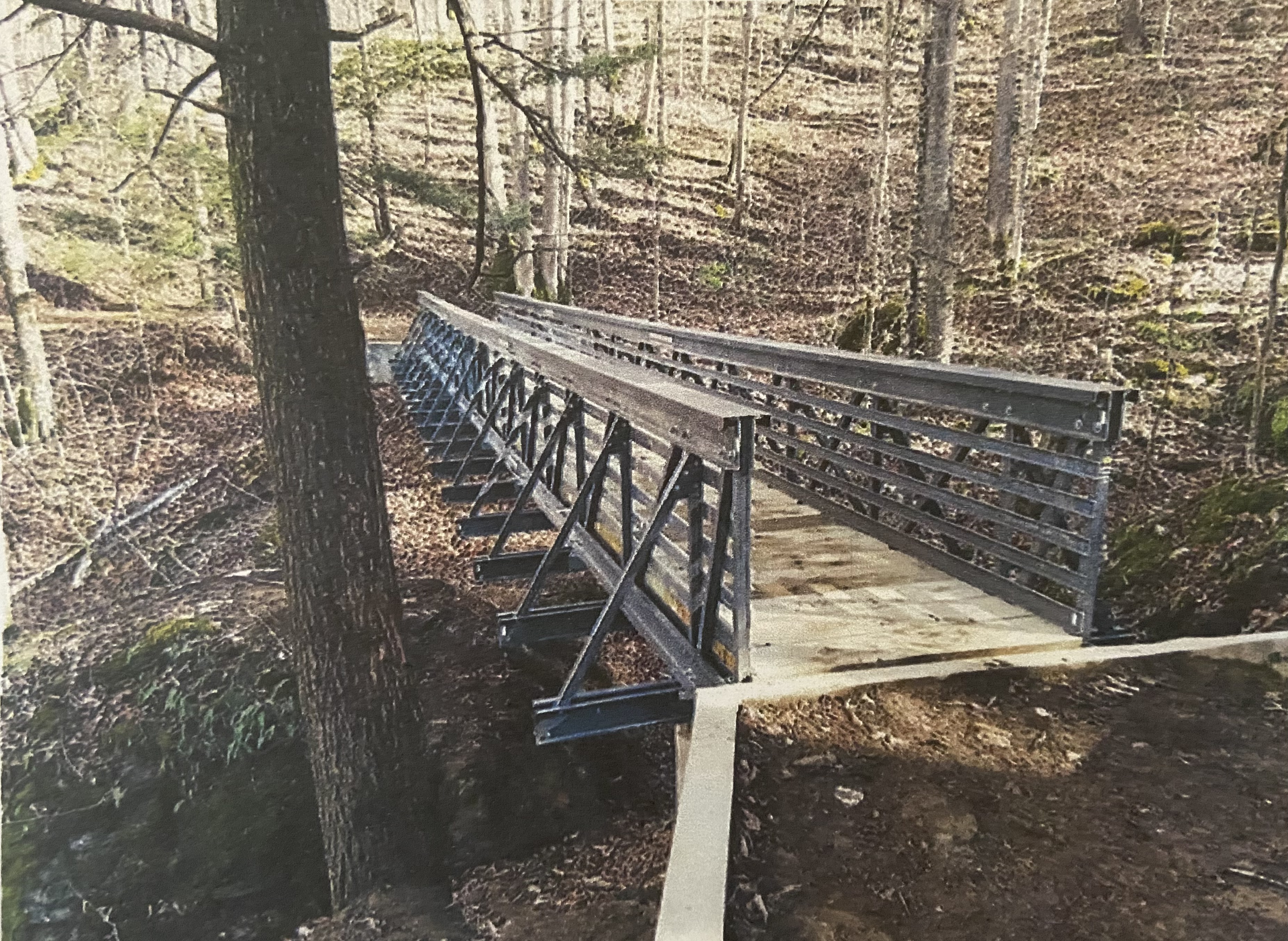 A rendering of the new bridge on the Ranger Trail...