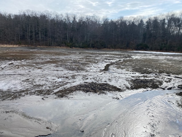 The drained Maple Lake in Spring Brook Twp. (Submitted)