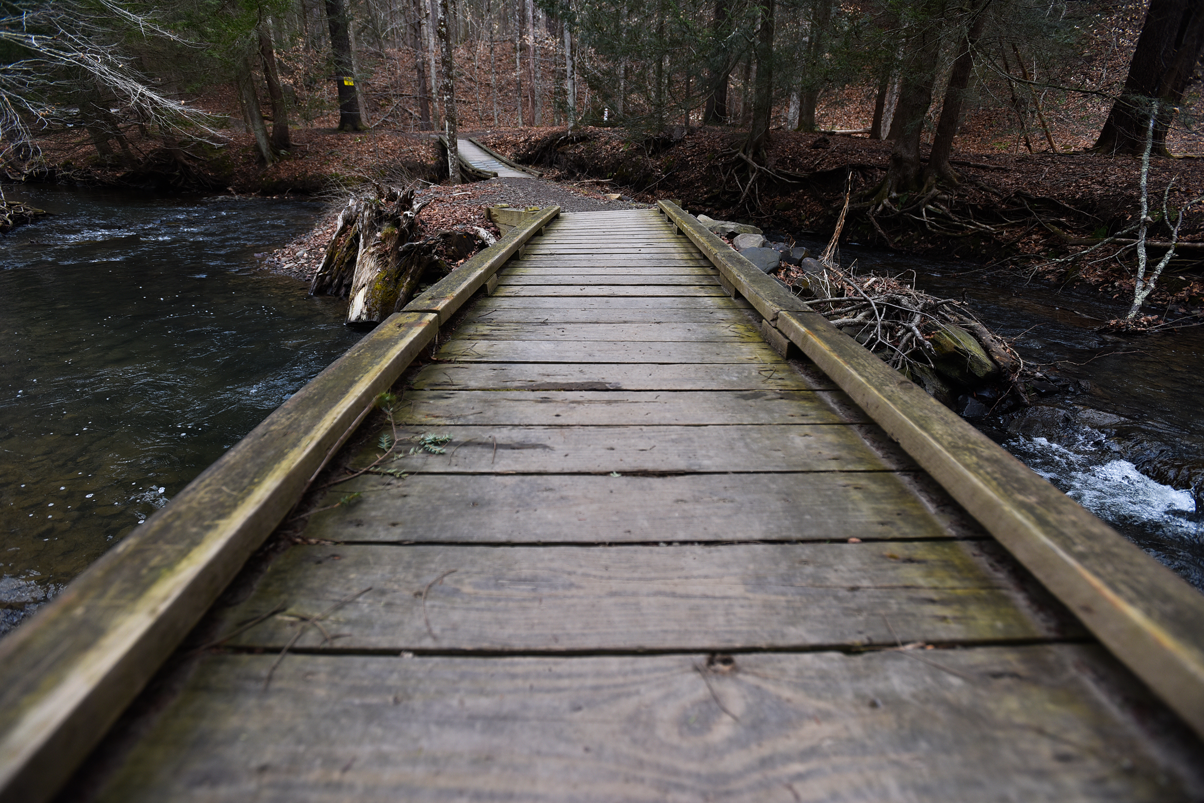 A trail bridge stretches over Kennedy Creek along the Ranger...