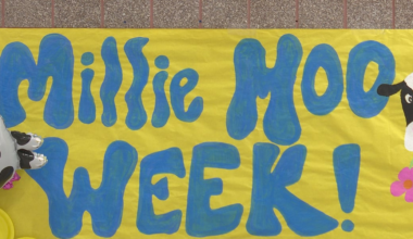 Erie School District fundraises for Millie Moo Foundation started after infant’s cancer battle