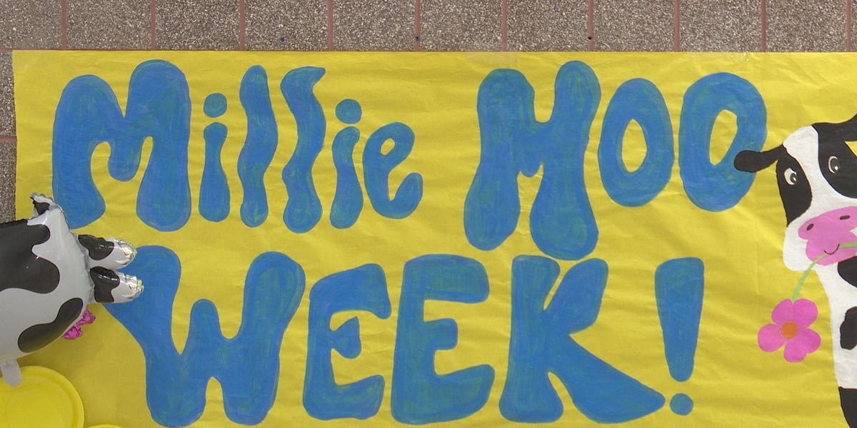 Erie School District fundraises for Millie Moo Foundation started after infant’s cancer battle