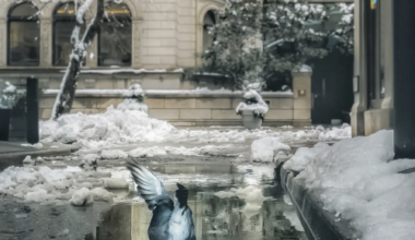 Historic district protections at risk; FIFA World Cup guide; Philly schools guarantee lunch