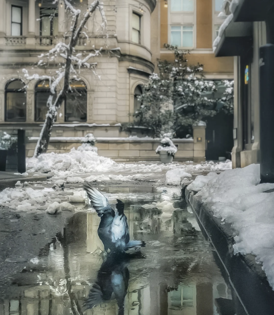 Historic district protections at risk; FIFA World Cup guide; Philly schools guarantee lunch