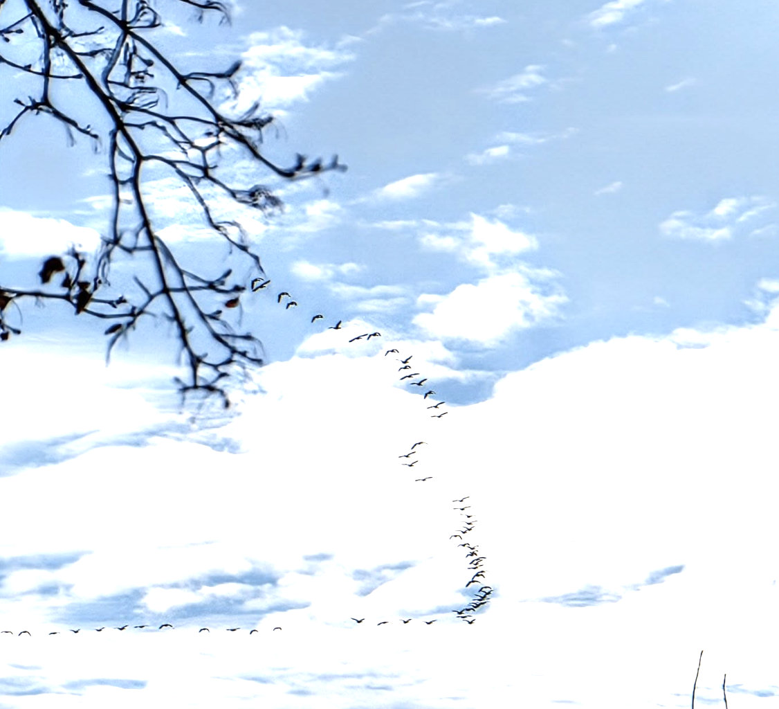 No Zitner's this Easter; Bus station questions; Chinatown Stitch uncertainty