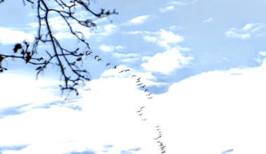 No Zitner's this Easter; Bus station questions; Chinatown Stitch uncertainty