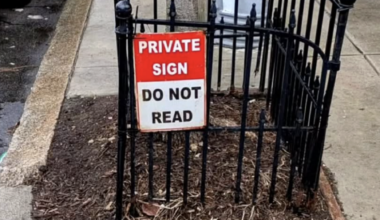 Market East pop-ups and murals; 'Trippy' Ministry of Awe; Philly sues Glock