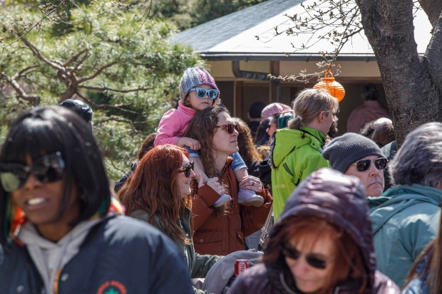 People attend the Bethlehem-Tondabayashi Sister City Commission's annual Cherry Blossom Festival on Saturday, March 28, 2026, at the Garden of Serenity in Bethlehem. The festival featured Japanese music, food, origami and tea ceremonies. (Jane Therese/Special to The Morning Call)