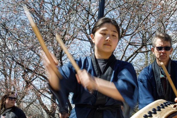 Narumi Fukuoka of Emmaus and Matthew Wernsteiger of Lyons Station perform during the Bethlehem-Tondabayashi Sister City Commission's annual Cherry Blossom Festival on Saturday, March 28, 2026, at the Garden of Serenity in Bethlehem. The festival featured Japanese music, food, origami and tea ceremonies. (Jane Therese/Special to The Morning Call)