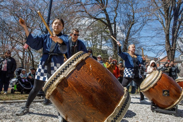 Narumi Fukuoka of Emmaus and Matthew Wernsteiger of Lyons Station and Kimberly Patterson of Reading perform during the Bethlehem-Tondabayashi Sister City Commission's annual Cherry Blossom Festival on Saturday, March 28, 2026, at the Garden of Serenity in Bethlehem. The festival featured Japanese music, food, origami and tea ceremonies. (Jane Therese/Special to The Morning Call)