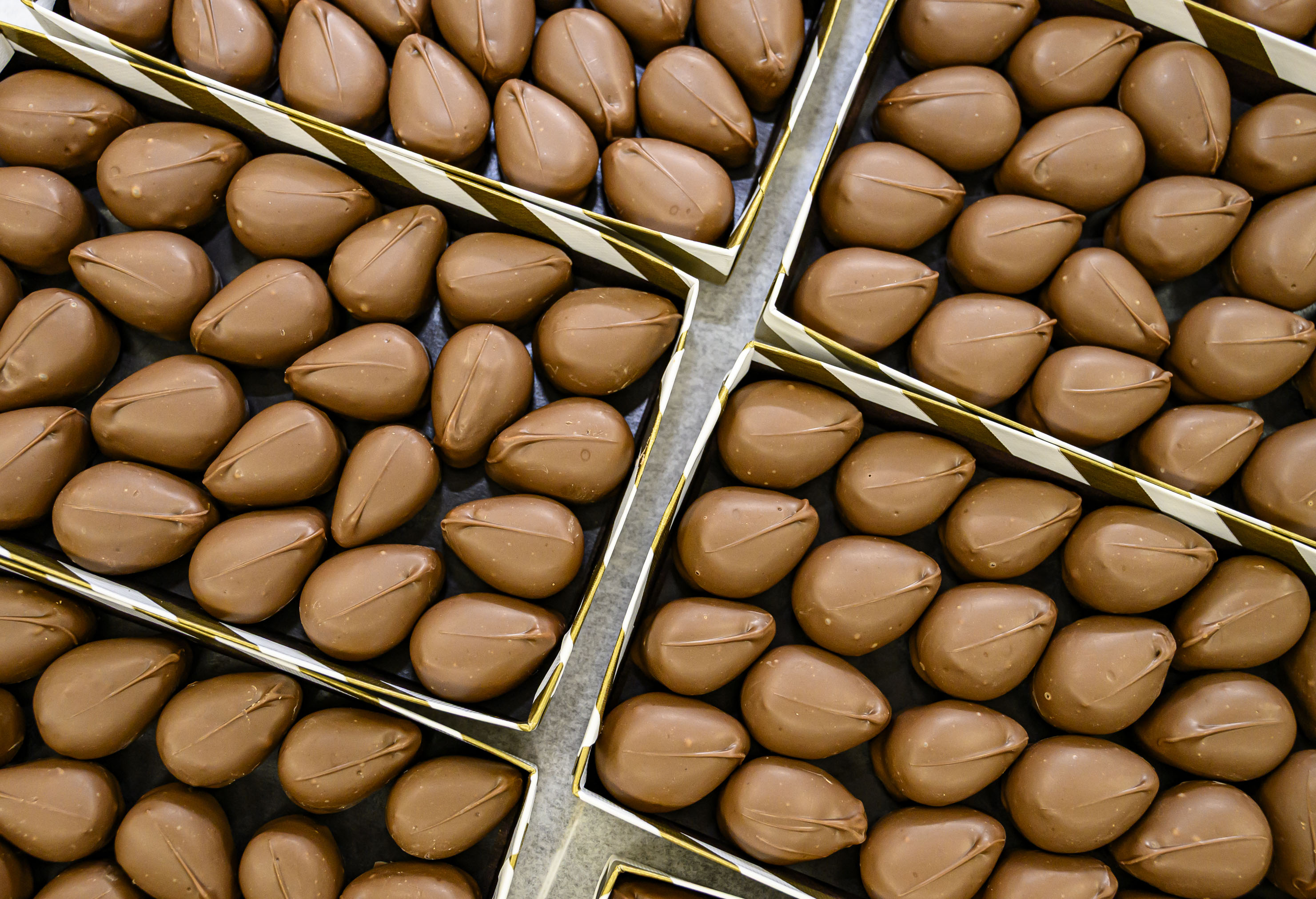 Hand-crafted peanut butter cream eggs are ready to be boxed...